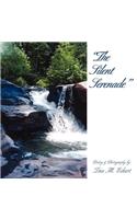 The Silent Serenade