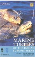 Marine Turtles of the Indian Subcontinent