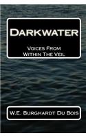 Darkwater