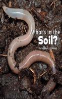 What's in the Soil?