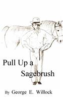 Pull up a Sagebrush