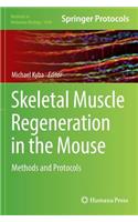 Skeletal Muscle Regeneration in the Mouse