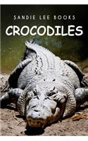 Crocodiles - Sandie Lee Books