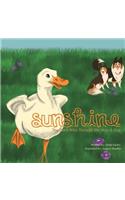 Sunshine