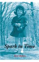 Spark in Time