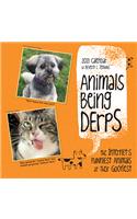 Animals Being Derps 2021 Wall Calendar