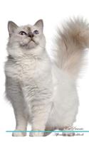 Birman Cat Affirmations Workbook Birman Cat Presents: Positive and Loving Affirmations Workbook. Includes: Mentoring Questions, Guidance, Supporting You.