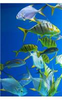 School of Fish in an Aquarium Journal: 150 Page Lined Notebook/Diary