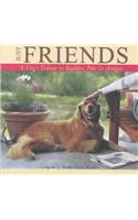 Just Friends