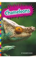 Chameleons