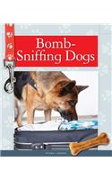 Bomb-Sniffing Dogs