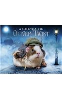 Guinea Pig Oliver Twist