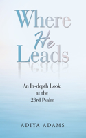 Where He Leads: An In-Depth Look at the 23Rd Psalm