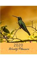 Weekly Planner 2020: Hummingbird Design Daily Weekly & Monthly Organizer Planner - Bonus = Notes Pages - Password Tracker - Personal Expense record pages - Great gift fo