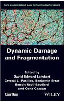 Dynamic Damage and Fragmentation