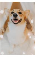 Corgi Notebook: Blank Lined Corgi Dog Journal: Beautiful Corgi Portrait
