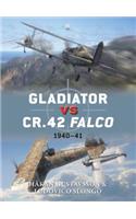 Gladiator vs CR.42 Falco