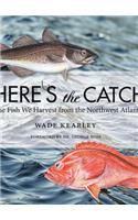 Here's the Catch