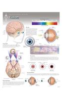 Vision Wall Chart