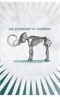 The Elephant of Surprise
