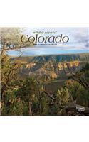 Colorado Wild & Scenic 2020 Mini 7x7