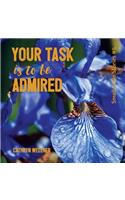 Your Task Is To Be Admired