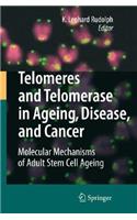 Telomeres and Telomerase in Ageing, Disease, and Cancer