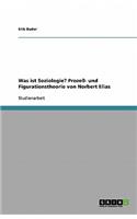 Was ist Soziologie? Prozeß- und Figurationstheorie von Norbert Elias