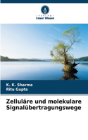 Zelluläre und molekulare Signalübertragungswege