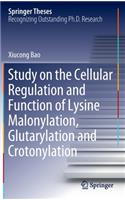 Study on the Cellular Regulation and Function of Lysine Malonylation, Glutarylation and Crotonylation: (Springer Theses)