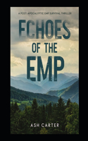 Echoes of the EMP