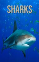 Sharks: Amazing Sharks Pictures Book for kids