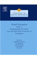 Visual Perception Part 1