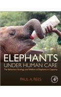 Elephants Under Human Care