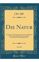 Die Natur, Vol. 20: Zeitung Zur Verbreitung Naturwissenschaftlichen Kenntnitz Und Naturanschauung Fur Leser Aller Stï¿½nde; Jahrgang 1871 (Classic Reprint)