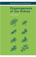 Organogenesis of the Kidney