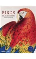 Birds: The Art of Ornithology