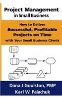 Project Management in Small Business - How to Deliver Successful, Profitable Projects on Time with Your Small Business Clients