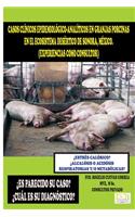 Casos Clínicos Epidemiológico-Analíticos En Granjas Porcinas En El Ecosistema Desértico de Sonora, México.