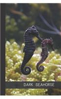 Dark Seahorse