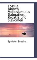 Fossile Binnen-Mollusken Aus Dalmatien, Kroatia Und Slavonien