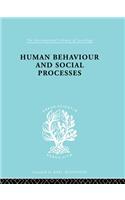 Human Behavior and Social Processes