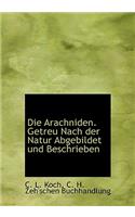 Die Arachniden. Getreu Nach Der Natur Abgebildet Und Beschrieben