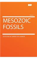 Mesozoic Fossils Volume 1