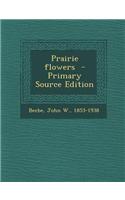 Prairie Flowers - Primary Source Edition