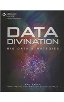 Data Divination: Big Data Strategies