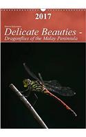Delicate Beauties - Dragonflies of the Malay Peninsula 2017