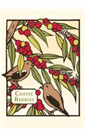 Coffee Berries (Boxed)