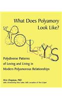 What Does Polyamory Look Like?: Polydiverse Patterns of Loving and Living in Modern Polyamorous Relationships