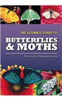 Butterflies & Moths (Practical Guides)